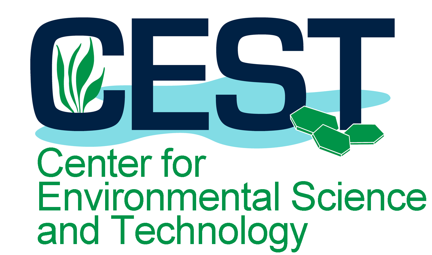 Center for Environmental Science & Technology