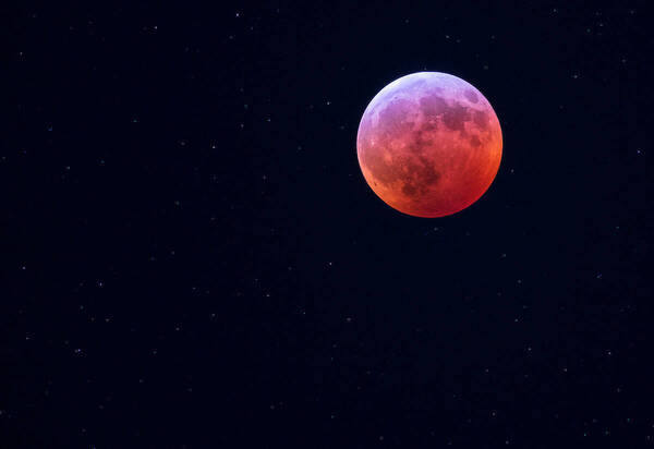 Super blood wolf moon of 2019. (Photo by Barbara Johnston)