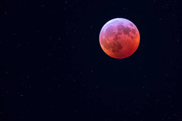 Super blood wolf moon of 2019. (Photo by Barbara Johnston)