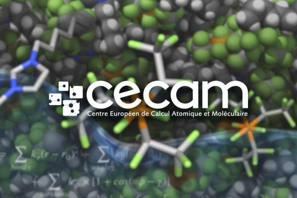Cecam Image2