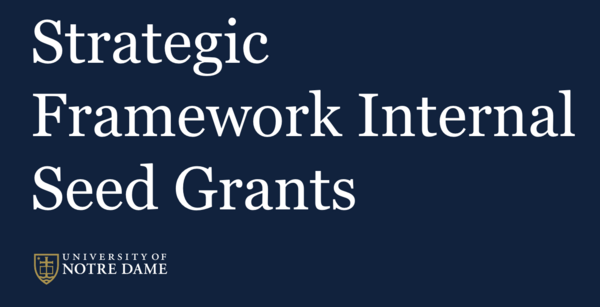Strategic Framework Internal Seed Grants