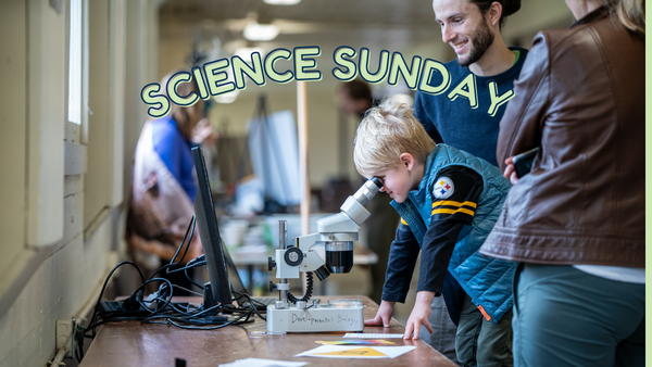 Science Sunday Website Graphic