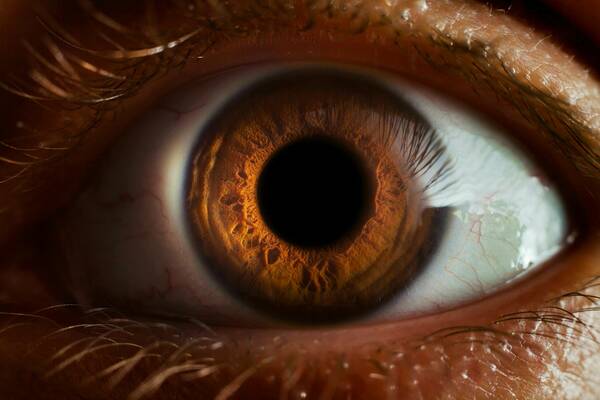 Up close image of a human eye