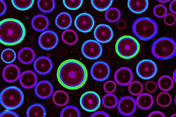 Close-up of purple circles with neon blue, purple, and green rings on a black background.